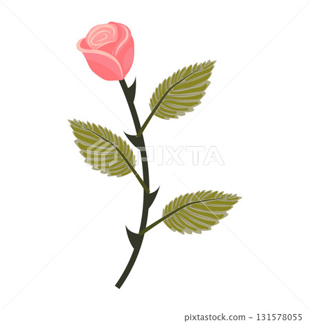 Delicate pink rose. Cute flower on a straight even stem. Vector illustration isolated on white background. Delicate pink rose. Cute flower on a straight even stem. Vector illustration isolated on white background. 131578055