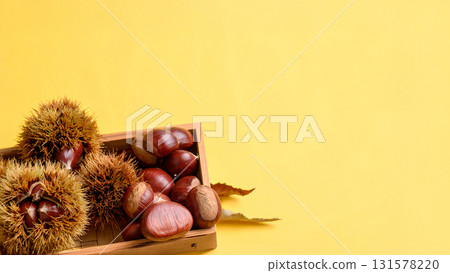 Autumn image of chestnut Autumn image of chestnut 131578220