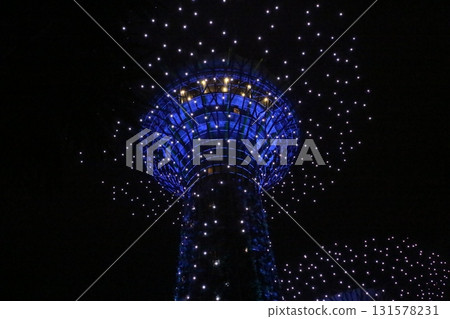 A magical night show at Gardens by the Bay 131578231