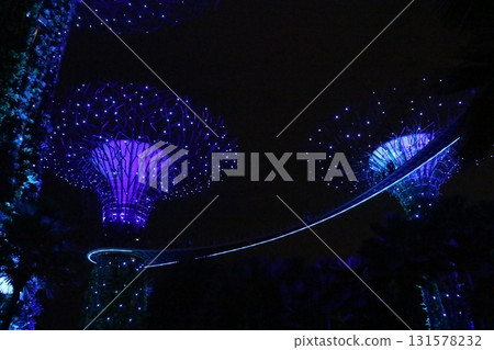 濱海灣花園的神奇夜間表演 濱海灣花園的神奇夜間表演 131578232