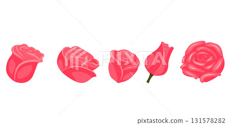 Set of bright pink roses for your design. Vector illustration isolated on white background. 131578282