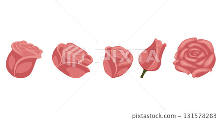 Set of dusty pink roses for your design. Vector illustration isolated on white background. Set of dusty pink roses for your design. Vector illustration isolated on white background. 131578283