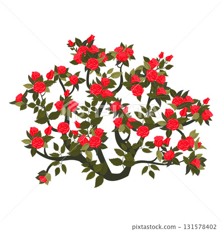Round bush with blooming red roses. Vector illustration isolated on white background. Round bush with blooming red roses. Vector illustration isolated on white background. 131578402