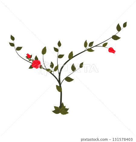 Young rose bush with blooming red roses. Vector illustration isolated on white background. 131578403
