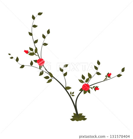 Small bush with blooming red roses. Vector illustration isolated on white background. Small bush with blooming red roses. Vector illustration isolated on white background. 131578404
