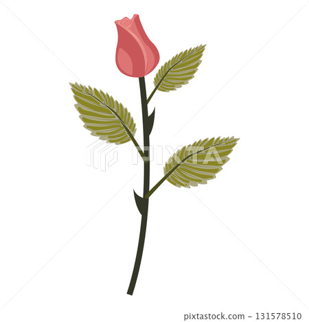 Dusty pink rose. Elegant flower on a straight even stem. Vector illustration isolated on a white background. Dusty pink rose. Elegant flower on a straight even stem. Vector illustration isolated on a white background. 131578510