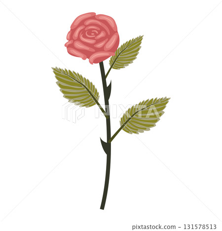Dusty pink rose. Elegant flower on a straight even stem. Vector illustration isolated on a white background. 131578513