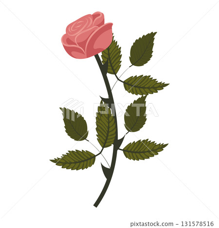 Dusty pink rose. Elegant flower on a straight even stem. Vector illustration isolated on a white background. 131578516