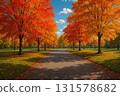 Autumn park with colorful foliage 131578682