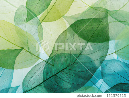 A beautiful and intricate arrangement of transparent, skeletal leaves in shades of green, blue, and yellow, with their veins visible. 131579315