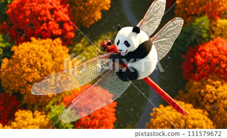 First flight 131579672
