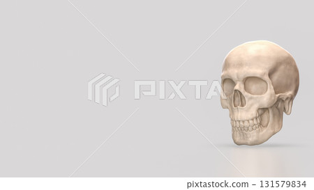 The Skull for Education or Sci concept 3d Rendering. The Skull for Education or Sci concept 3d Rendering. 131579834
