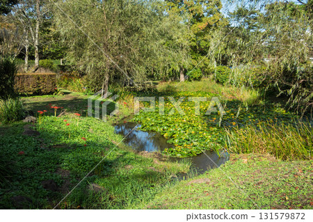 Nakanojo Gardens, Nakanojo Town, Gunma Prefecture 131579872
