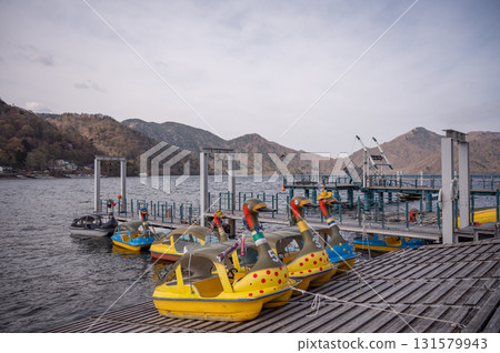 [栃木]中禪寺湖上的天鵝船 131579943