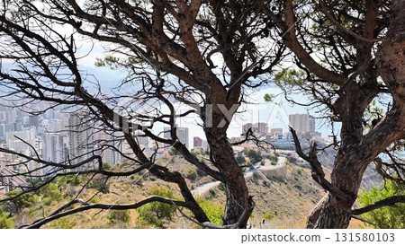 A video shows a serene urban landscape framed by tree branches 131580103