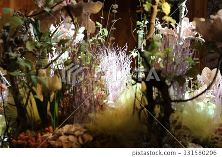 Farm Tomita Dried Flower House Farm Tomita Dried Flower House 131580206