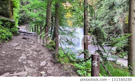 Discover the Scenic Forest Trail with its stunning Waterfall surrounded by serene Nature Discover the Scenic Forest Trail with its stunning Waterfall surrounded by serene Nature 131580280