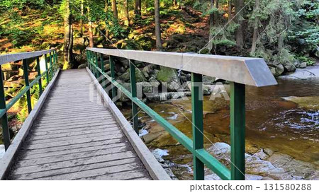 A Serene Wooden Bridge Gracefully Arches Over a Tranquil Stream Within a Lush Forest 131580288