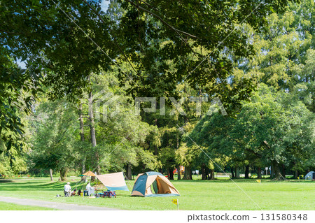 埼玉縣秋瀨公園的夏季風景 131580348