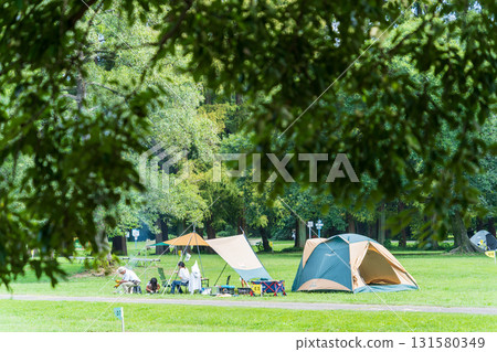 Scenery of Akigase Park in Saitama Prefecture, summer 131580349
