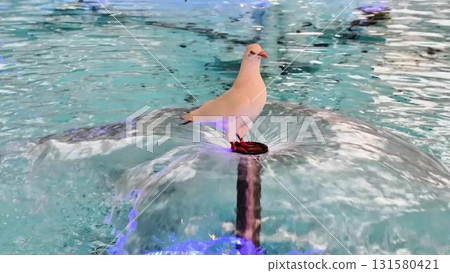 A Pigeon Gracefully Stands on a Beautiful Fountain in an Exquisitely Vibrant Aquatic Setting 131580421