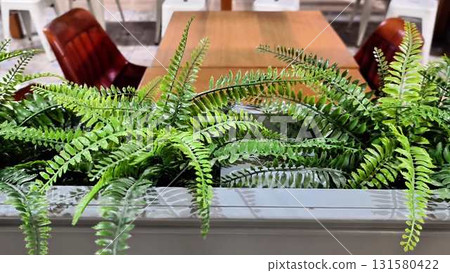 Vibrant Ferns Adding Life and Energy to a Modern Dining Space with Style and Comfort Vibrant Ferns Adding Life and Energy to a Modern Dining Space with Style and Comfort 131580422
