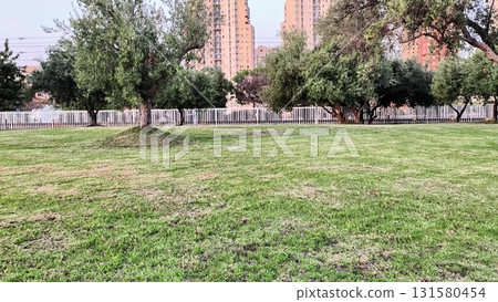 A serene and beautiful park landscape harmoniously interwoven with an urban backdrop nearby 131580454