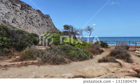 Explore the Coastal Pathway with stunning ocean views and lush vegetation, ideal for adventurers 131580479