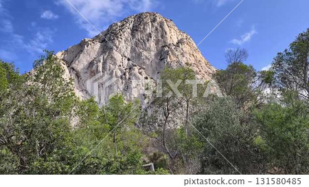 Majestic Mountain Peak Surrounded by Lush Greenery in a Picturesque and Scenic Landscape 131580485