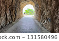 A picturesque Scenic Tunnel View that features a beautiful Pathway and lush Greenery all around 131580496