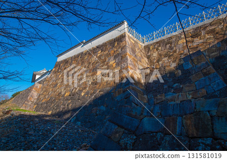 富岡城堡的石垣 131581019