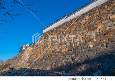 富岡城堡的石垣 131581020