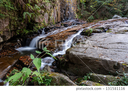 岩屋堂公園瀨戶大瀑布 岩屋堂公園瀨戶大瀑布 131581116