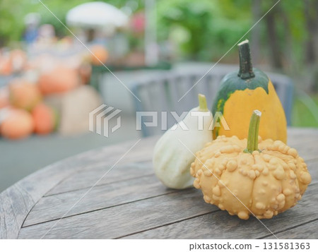 Ueno Farm Ghost Pumpkin Halloween 131581363