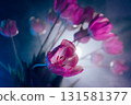 Neon Purple Tulips in Artistic Lighting 131581377