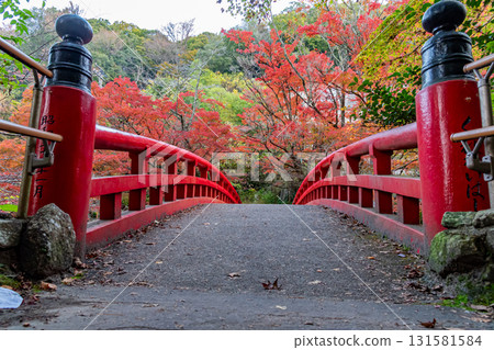 岩道公園紅橋 岩道公園紅橋 131581584