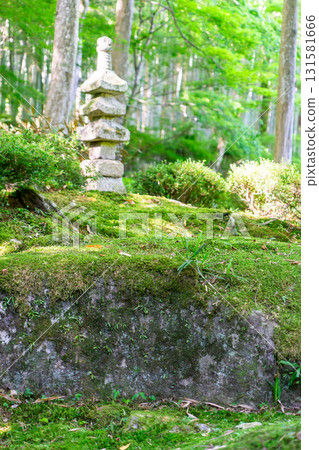An ancient temple in Omihachiman, featuring a garden designed by Kobori Enshu, a moss garden and stone pagoda 131581666