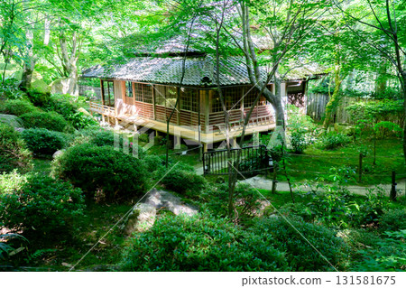 Moss garden by Kobori Enshu at an ancient temple in Omihachiman 131581675