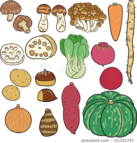 Hand-drawn autumn vegetable set Hand-drawn autumn vegetable set 131581787