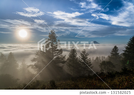 Mt. Fuji floating in the morning glow of the morning glow from Mt. Amari Mt. Fuji floating in the morning glow of the morning glow from Mt. Amari 131582025