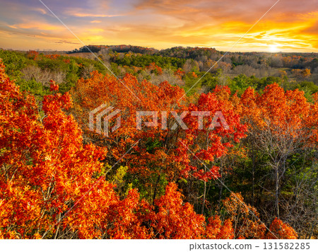 Autumn woods in North Carolina Appalachian mountains at colorful sundown. Bright yellow foliage and pine woods on mountain slopes. 131582285