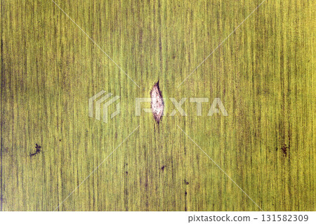 Agricultural landscape, top view. Sunny green wheat field, drone photography, copy space background. Agricultural landscape, top view. Sunny green wheat field, drone photography, copy space background. 131582309