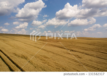 Aerial view of yellow agriculture wheat field ready to be harvested in late summer. Aerial view of yellow agriculture wheat field ready to be harvested in late summer. 131582317