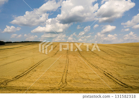 Aerial view of yellow agriculture wheat field ready to be harvested in late summer. Aerial view of yellow agriculture wheat field ready to be harvested in late summer. 131582318