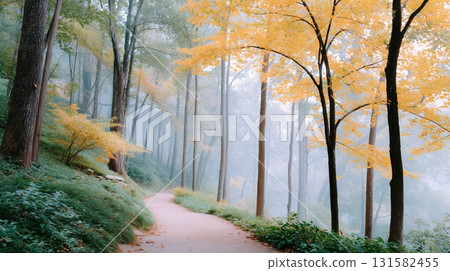 A quiet walk surrounded by nature during the autumn foliage season A quiet walk surrounded by nature during the autumn foliage season 131582455