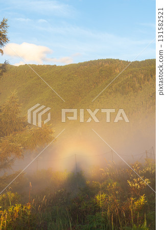 Brocken spectre floating in the morning mist from Mt. Amari 131582521