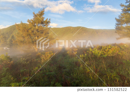 Brocken spectre floating in the morning mist from Mt. Amari Brocken spectre floating in the morning mist from Mt. Amari 131582522