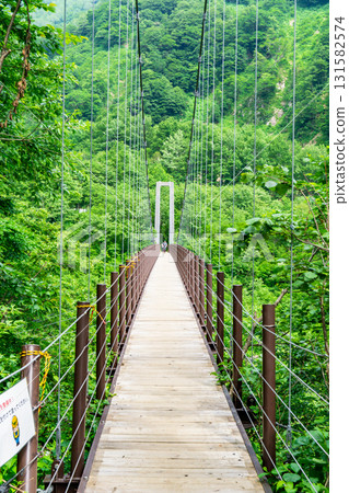 Hakusan National Park, Sabo Shindo Trail, Betsu-Deai Suspension Bridge, Early Summer Climbing Mt. Hakusan Gozenmine 131582574