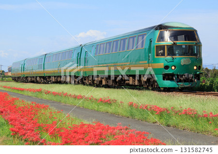 The limited express "Yufuin no Mori" (JR Kyushu) runs along the Kyudai Main Line, where red spider lilies are in bloom. The limited express "Yufuin no Mori" (JR Kyushu) runs along the Kyudai Main Line, where red spider lilies are in bloom. 131582745