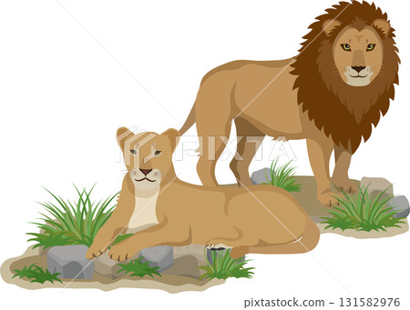 兩個獅子 131582976